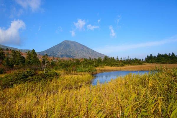 Follaje de otoño en Aomori, Japón — Foto de Stock