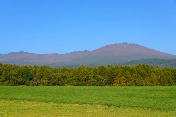 Herfst gebladerte van Mt.Hachimantai — Stockfoto