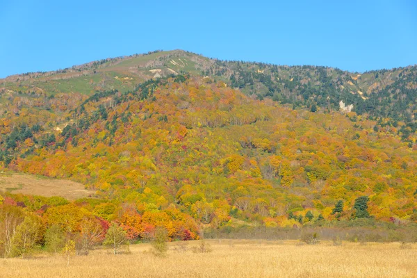 Jesieni Mt.Hachimantai — Zdjęcie stockowe