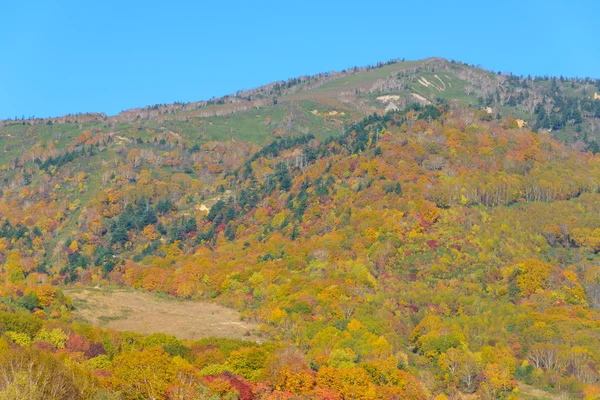 八岛台山红叶 — 图库照片