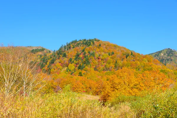 Autumn foliage of Mt.Hachimantai — Stock Photo, Image