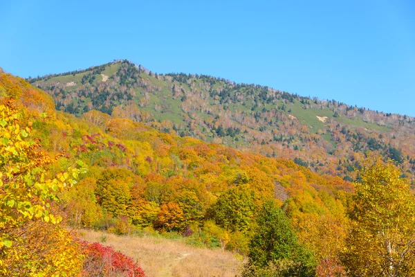 Autumn foliage of Mt.Hachimantai — Stock Photo, Image