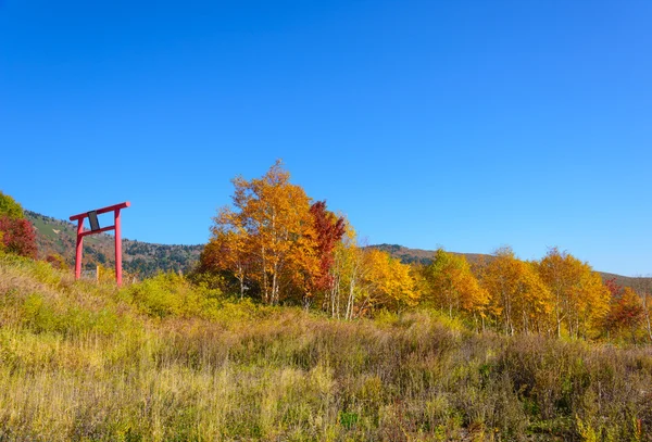 八岛台山红叶 — 图库照片