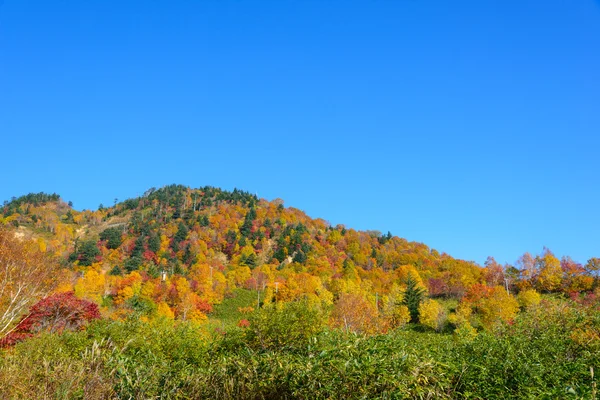 Herfst gebladerte van Mt.Hachimantai — Stockfoto