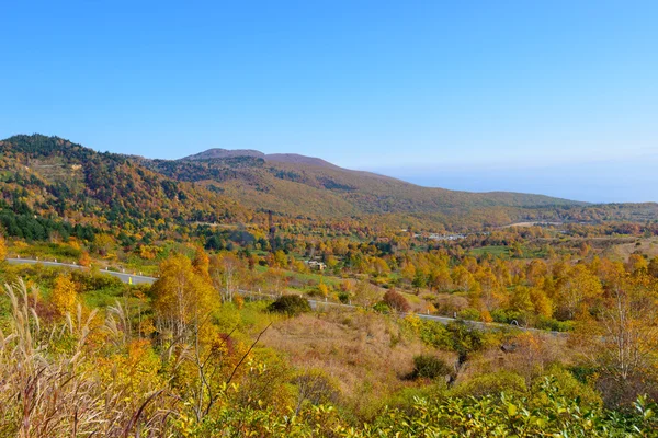 Fogliame autunnale del Monte Hachimantai — Foto Stock