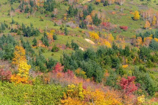 Folhagem de outono de Mt.Hachimantai — Fotografia de Stock