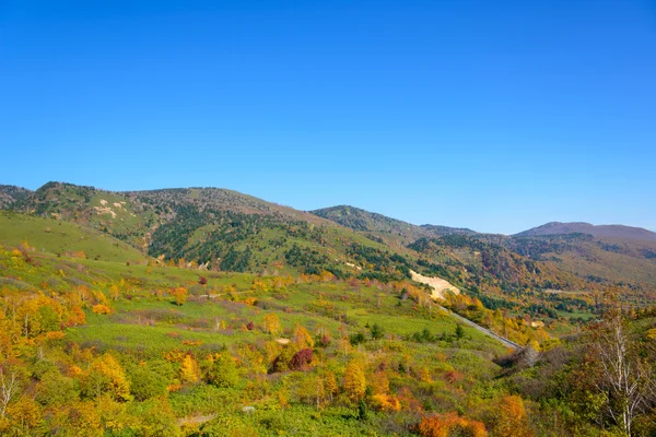 Φθινόπωρο φύλλωμα των Mt.Hachimantai — Φωτογραφία Αρχείου