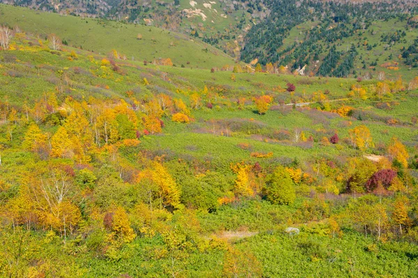 Autumn foliage of Mt.Hachimantai — Stock Photo, Image