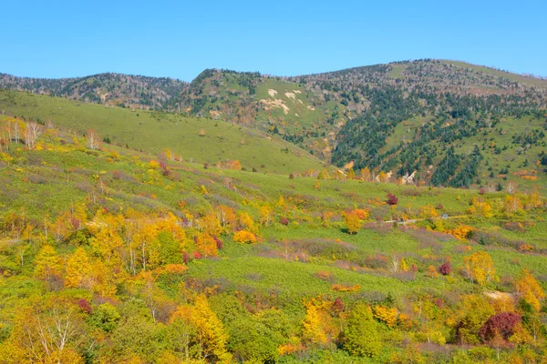 Podzimní listí Mt.Hachimantai — Stock fotografie