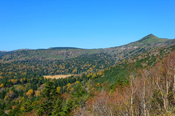 Herbstblätter von mt.hachimantai — Stockfoto