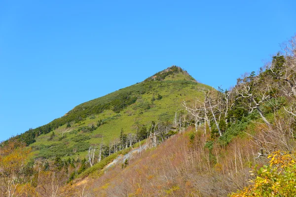 Podzimní listí Mt.Hachimantai — Stock fotografie