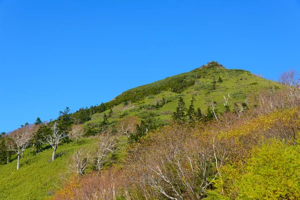 Follaje otoñal del Monte Hachimantai —  Fotos de Stock