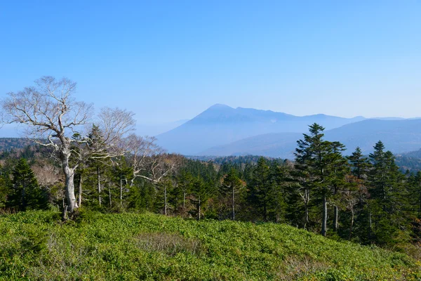 Autumn of Mt.Iwate — 图库照片