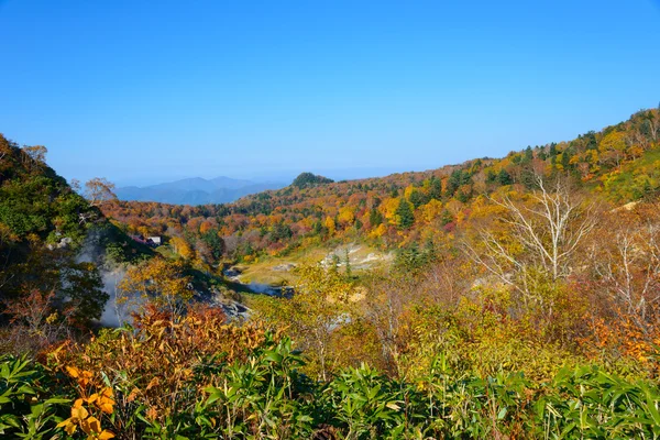 Folhagem de outono de Mt.Hachimantai — Fotografia de Stock