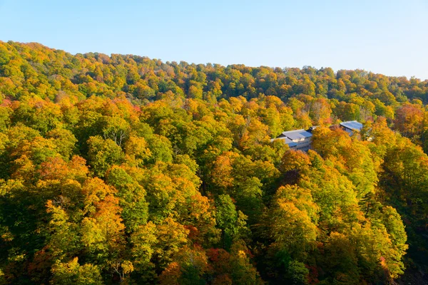 Autumn foliage of Mt.Hachimantai — Stock Photo, Image