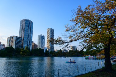 Shinobazu Pond