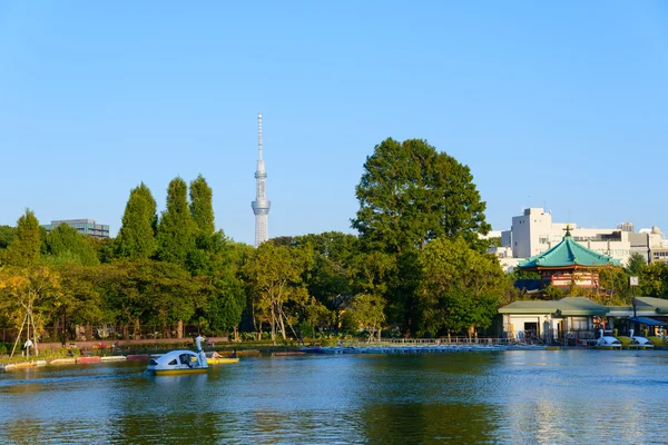 Shinobazu Pond and Tokyo Skytree — ストック写真