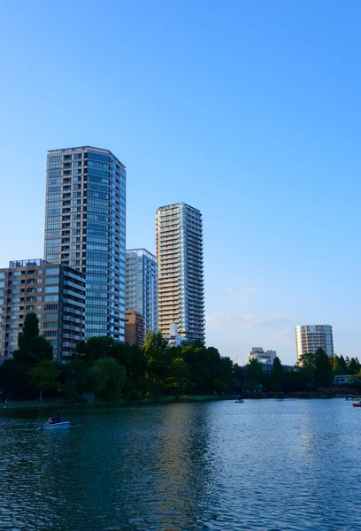 Estanque Shinobazu —  Fotos de Stock