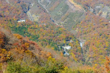 Oku-Nikko sonbaharda