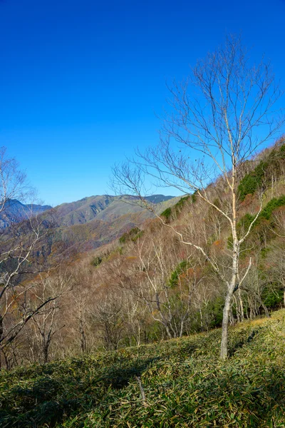 Autunno a Oku-Nikko — Foto Stock