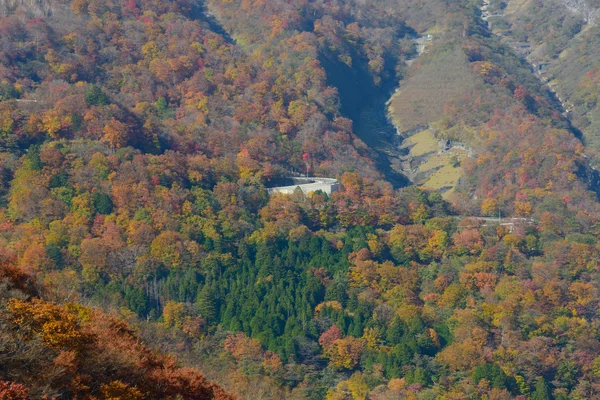 Autunno a Oku-Nikko — Foto Stock