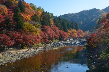 Sonbahar yaprakları Korankei, Aichi, Japonya