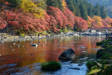 Sonbahar yaprakları Korankei, Aichi, Japonya