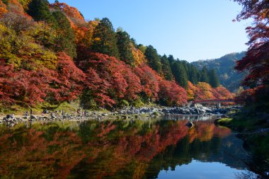 Sonbahar yaprakları Korankei, Aichi, Japonya