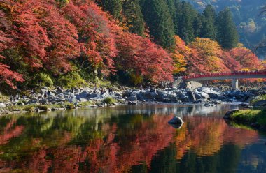 Sonbahar yaprakları Korankei, Aichi, Japonya