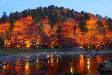 Sonbahar yaprakları Korankei, Aichi, Japonya