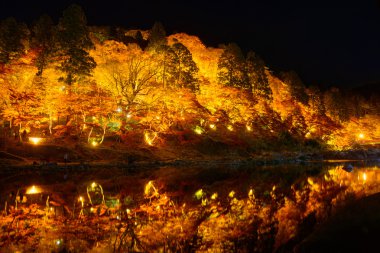 Sonbahar yaprakları Korankei, Aichi, Japonya