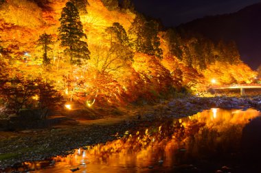Sonbahar yaprakları Korankei, Aichi, Japonya