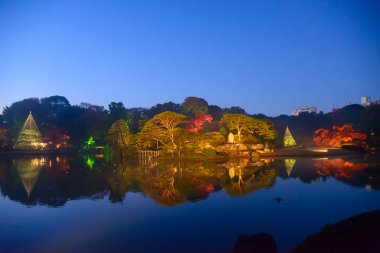 Rikugien Bahçe, Komagome, Tokyo sonbahar yaprakları