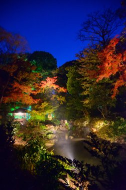 Rikugien Bahçe, Komagome, Tokyo sonbahar yaprakları
