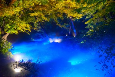 Rikugien Bahçe, Komagome, Tokyo sonbahar yaprakları
