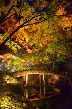 Rikugien Bahçe, Komagome, Tokyo sonbahar yaprakları