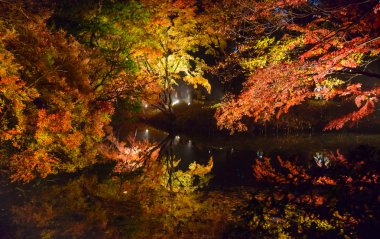Rikugien Bahçe, Komagome, Tokyo sonbahar yaprakları