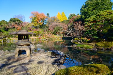 Kyu-Furukawa Gardens, Tokyo sonbahar yaprakları