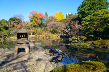 Autumn foliage in the Kyu-Furukawa Gardens, Tokyo clipart