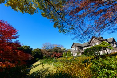 Sonbahar Kyu-Furukawa bahçelerde Tokyo
