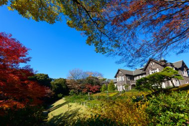 Kyu-Furukawa Gardens in autumn in Tokyo clipart