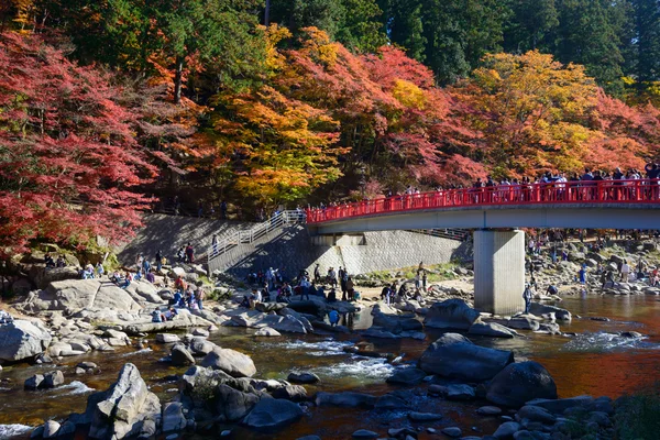 Herbstlaub in Korankei, Aichi, Japan — Stockfoto