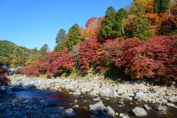 Fogliame autunnale a Korankei, Aichi, Giappone — Foto Stock