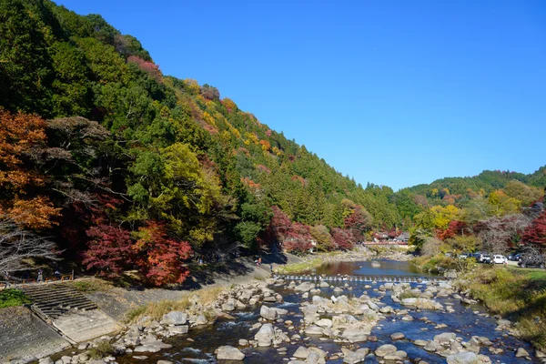 Autumn foliage in Korankei, Aichi, Japan — Stock Photo, Image