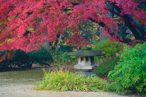 秋叶在 Rikugien 花园，驹込，东京 — 图库照片