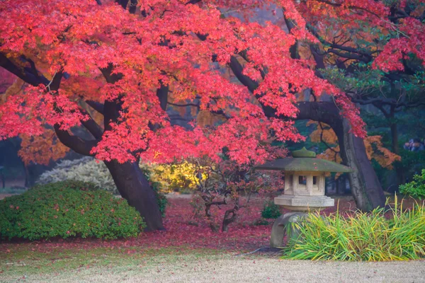 Fogliame autunnale a Rikugien Garden, Komagome, Tokyo — Foto Stock