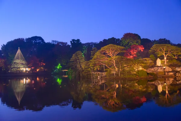 Herbstlaub im rikugien Garten, Komagom, Tokyo — Stockfoto