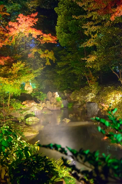 Folhagem de outono em Rikugien Garden, Komagome, Tóquio — Fotografia de Stock