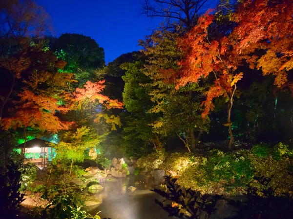 秋叶在 Rikugien 花园，驹込，东京 — 图库照片