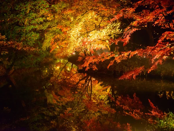 Feuillage d'automne en Rikugien Garden, Komagome, Tokyo — Photo